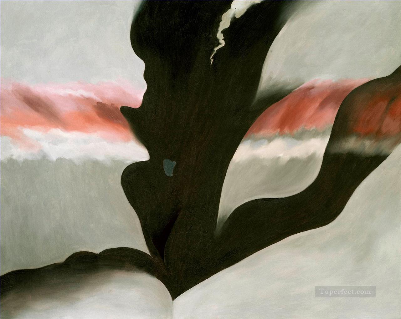 ジョージア・オキーフ ブラック・プレイスll ジョージア・オキーフ アメリカのモダニズム 精密主義油絵